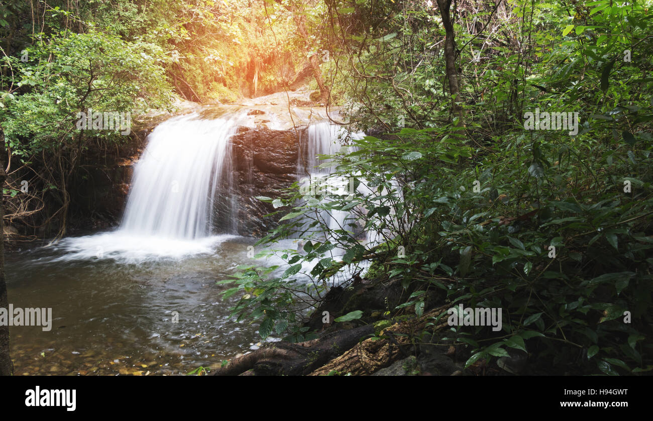 waterfall and creek in tropical jungle rain forest Stock Photo - Alamy