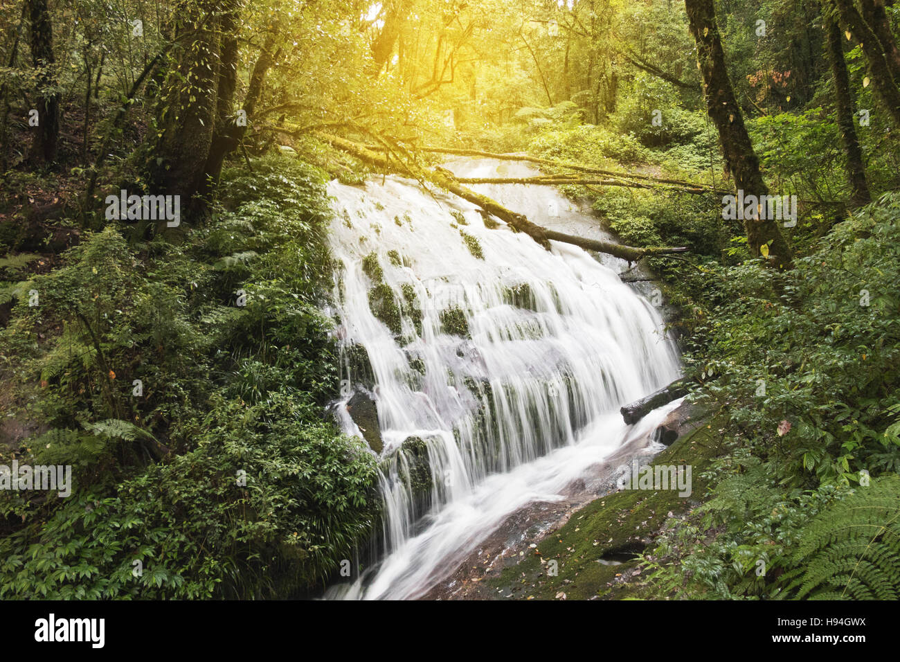 waterfall and creek in tropical jungle rain forest Stock Photo - Alamy