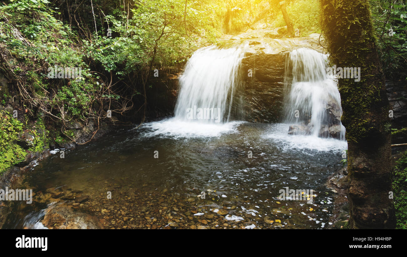 Jungle rain hi-res stock photography and images - Alamy