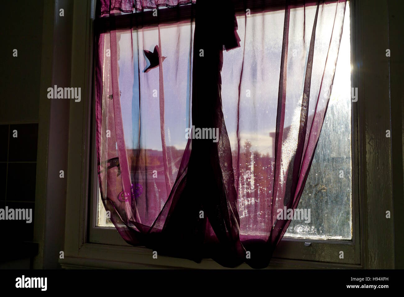 Condensation Stock Photo