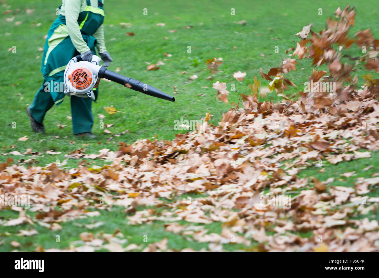 Leaf blower hires stock photography and images Alamy