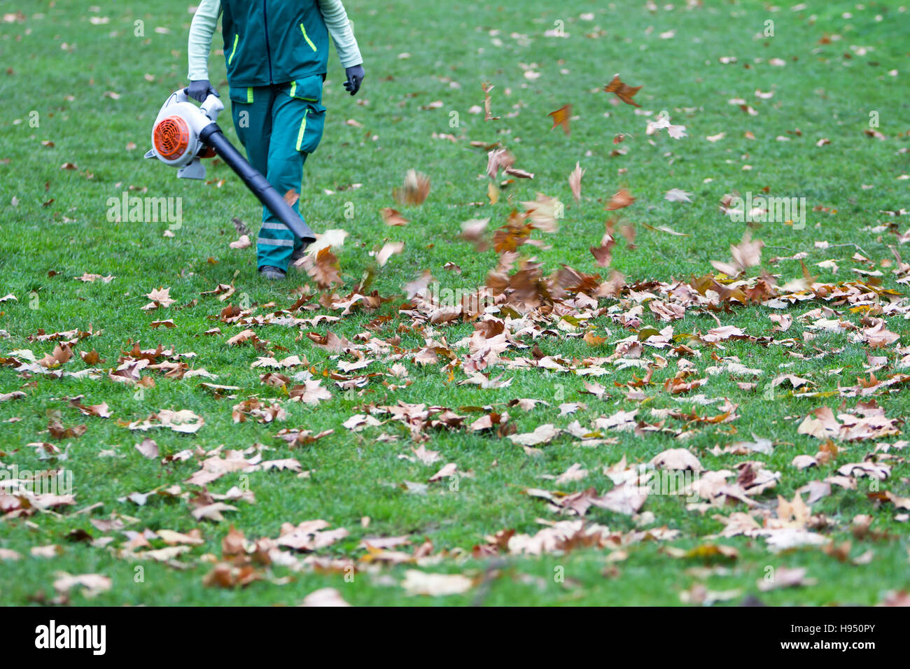 Leaf blower hires stock photography and images Alamy
