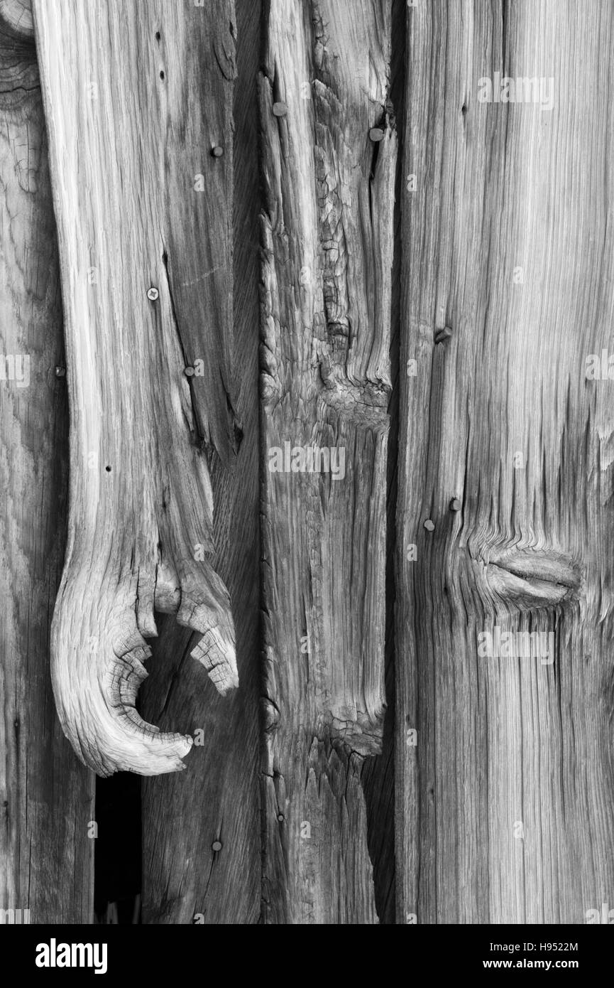 Ghost Wood Stock Photos & Ghost Wood Stock Images Alamy