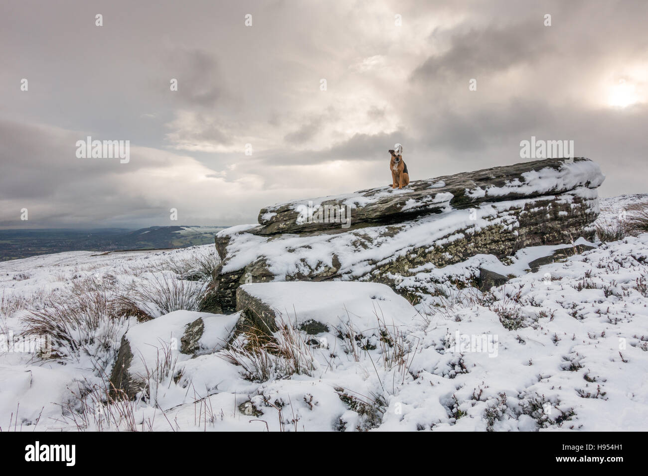 Leeds, West Yorkshire, UK. 18th November 2016. UK Weather. More snow hits the higher ground in Yorkshire, Ilkley Moor, Ilkley, UK. Rebecca Cole/Alamy Live News Stock Photo
