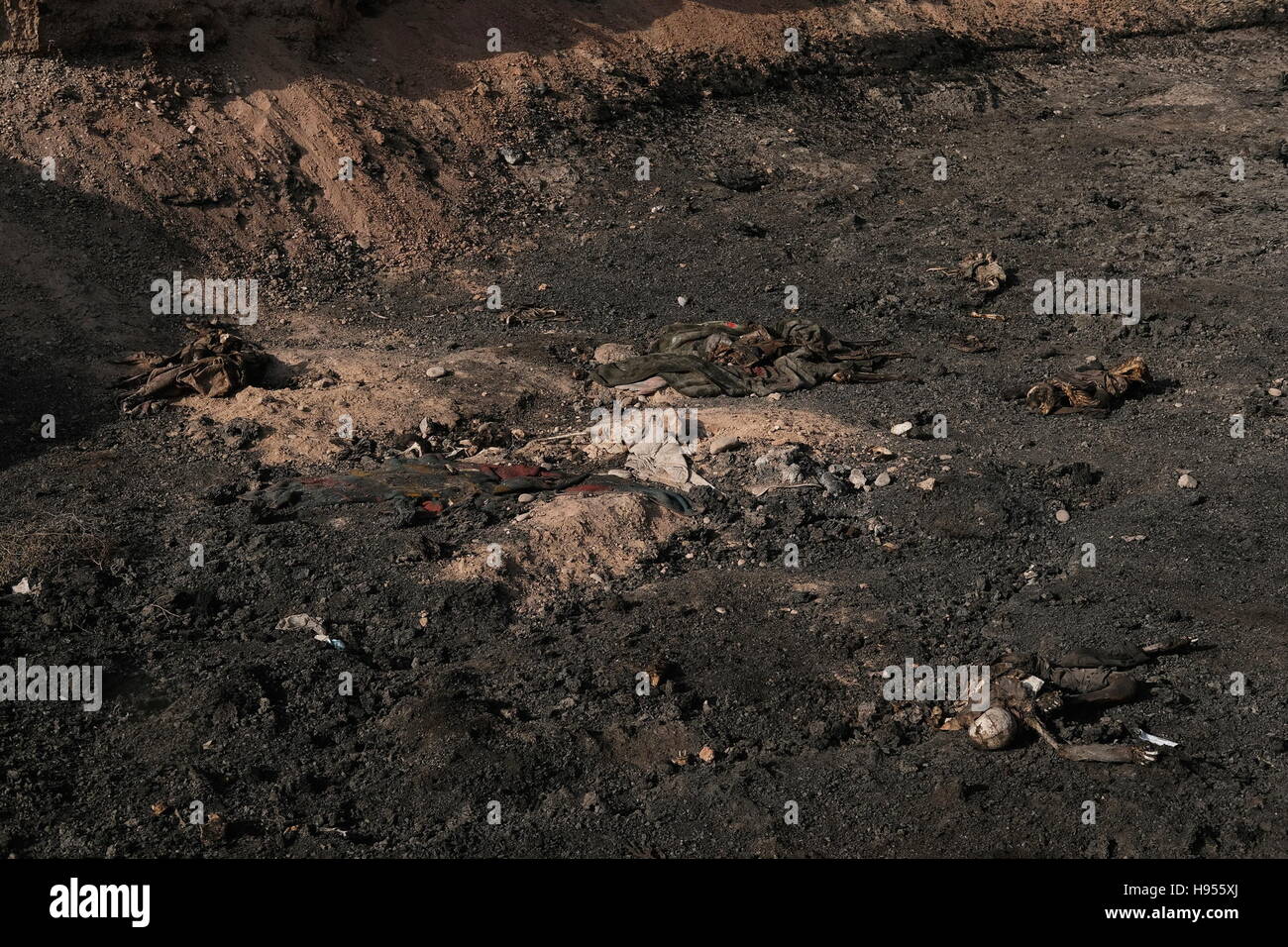 Qayyarah, Iraq. 13th Nov, 2016. These bodies are supposedly ISIS supporters that were killed by Iraqi military snipers as they exited a tunnel trying to flee. There was a number of bodies in a burn oil pit one local who new the deceased said it was a whole family that was killed father, mother, daughter, and two sons. Bodies of ISIS fighters or supporters are ordered to not be buried to allow the wild dogs to devour the corpses Qayyarrah, Iraq on November 13, 2016. © Osie Greenway/ZUMA Wire/ZUMAPRESS.com/Alamy Live News Stock Photo