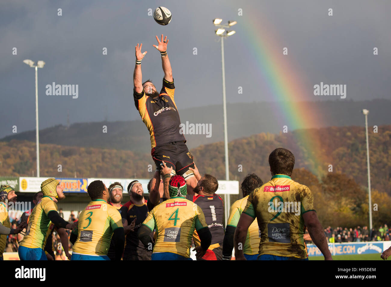 Heidelberg, Germany. 19th Nov, 2016. Germany's national rugby team captain Michael Poppmeier catches the ball during the rugby world rankings game between Germany and Brazil in Heidelberg, Germany, 19 November 2016. Photo: Juergen Kessler/dpa/Alamy Live News Stock Photo