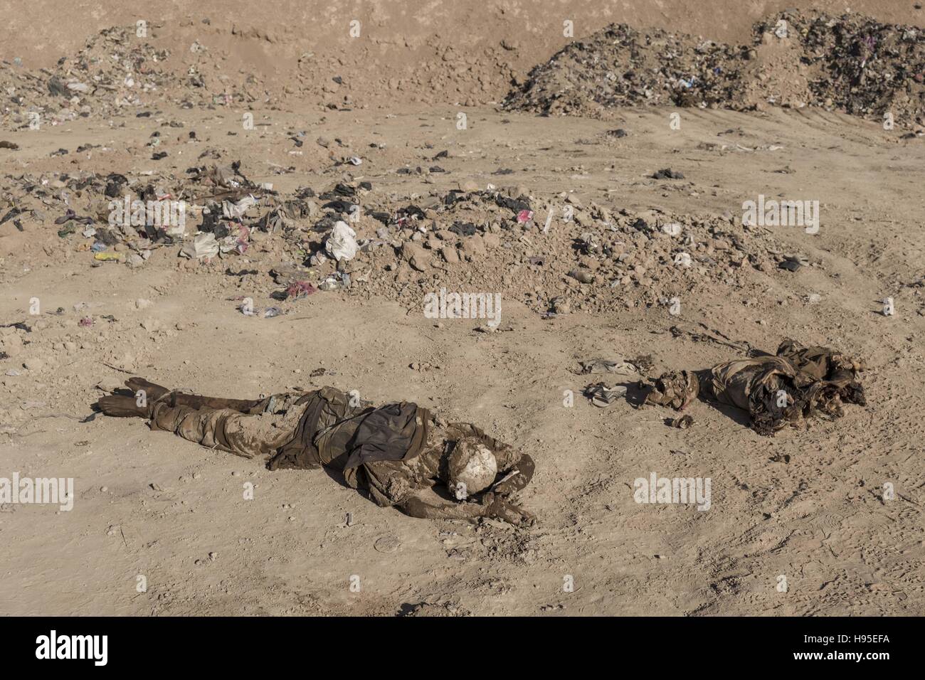 Hammam Al-Alil, Nineveh Governorate, Iraq. 19th Nov, 2016. Dead bodies from mass graves at Hammam al-Alil, Iraq. Credit:  Berci Feher/ZUMA Wire/Alamy Live News Stock Photo