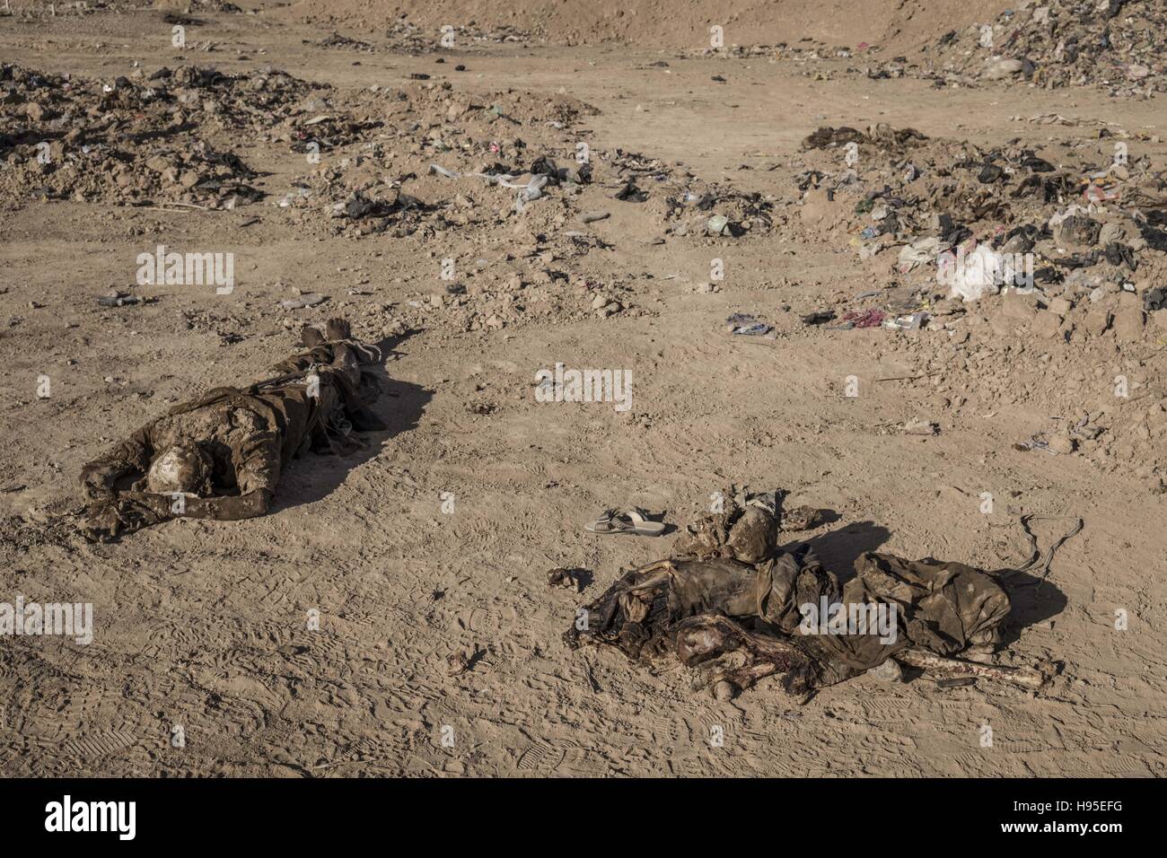 Hammam Al-Alil, Nineveh Governorate, Iraq. 19th Nov, 2016. Dead bodies from mass graves at Hammam al-Alil, Iraq. Credit:  Berci Feher/ZUMA Wire/Alamy Live News Stock Photo