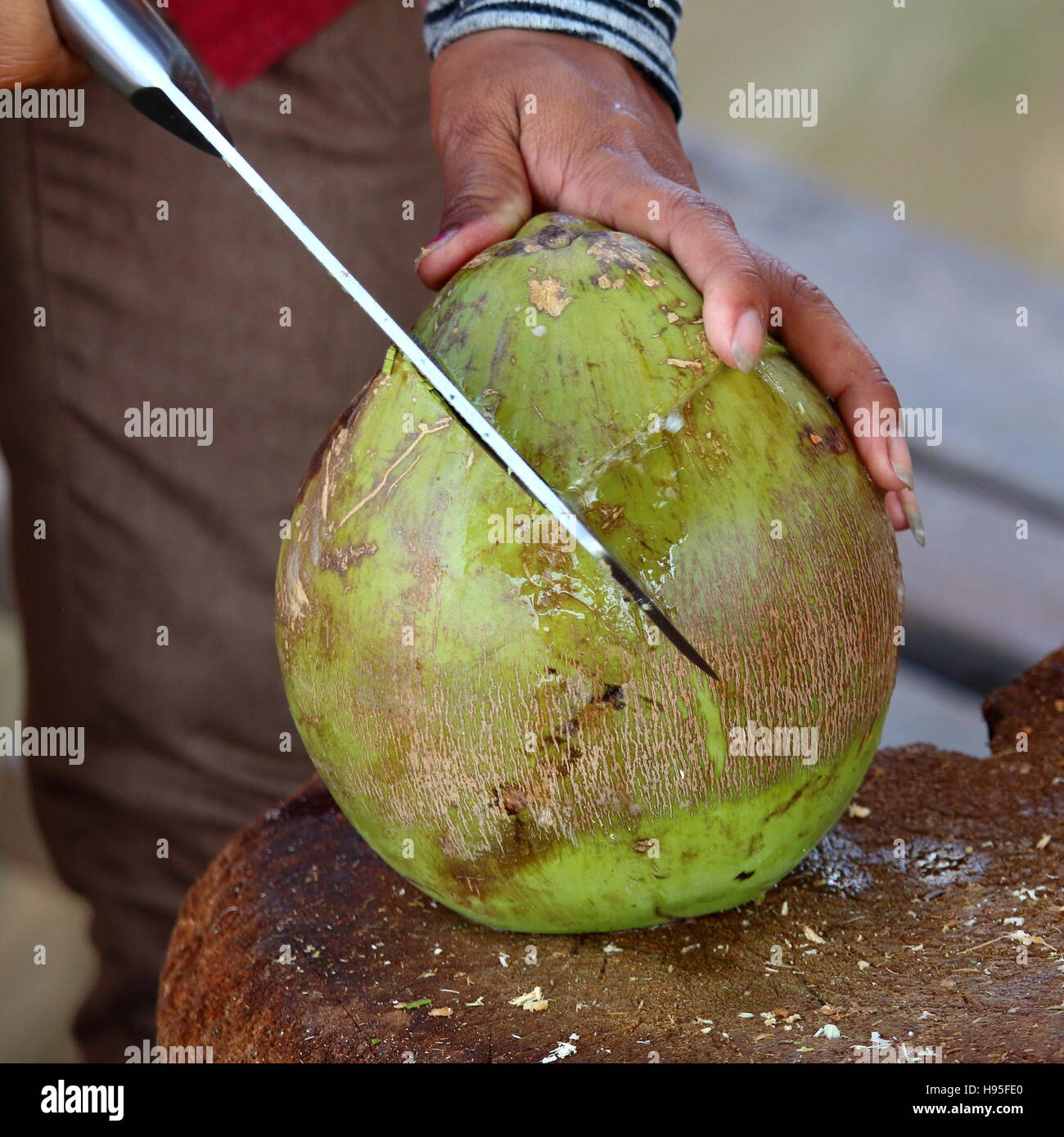 Coconut preparation cutting Stock Photo Alamy
