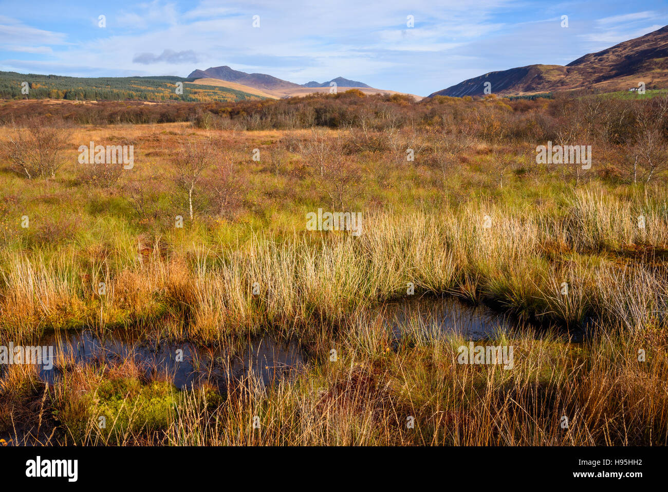 Machrie Moor, Isle of Arran, North Ayrshire, Scotland Stock Photo