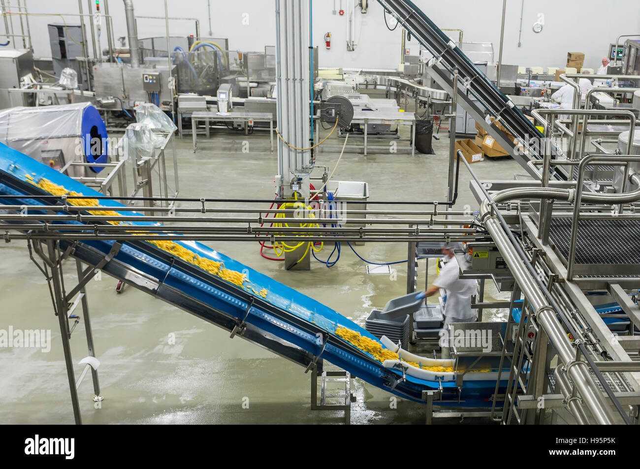 Food factory line people hires stock photography and images Alamy