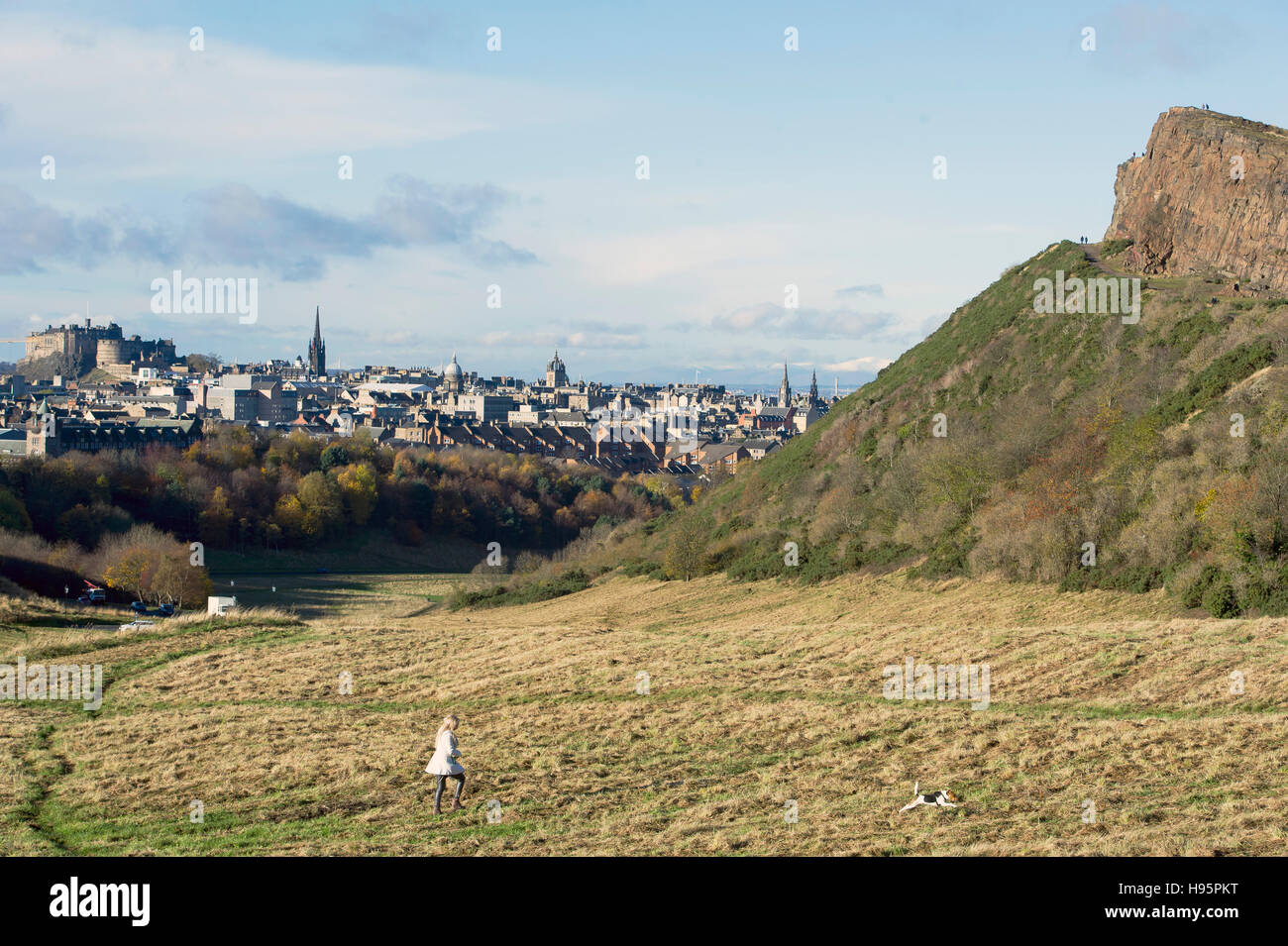 A young woman walks her dog in Holyrood park with Radical road on Salisbury Crags in the distance. Stock Photo