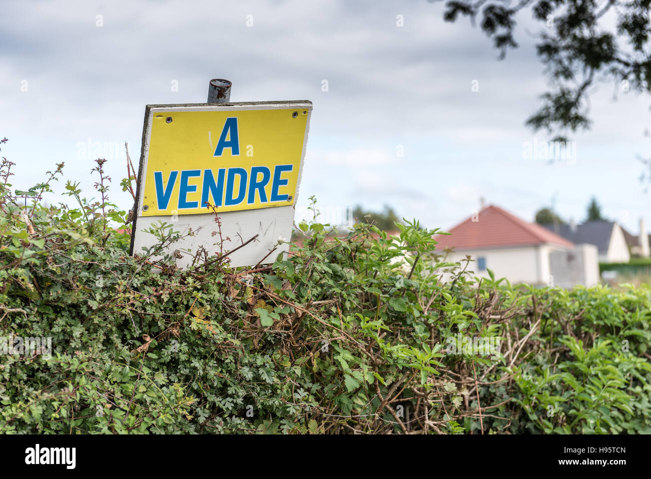 Sign Land for sale in French "A vendre Stock Photo Alamy