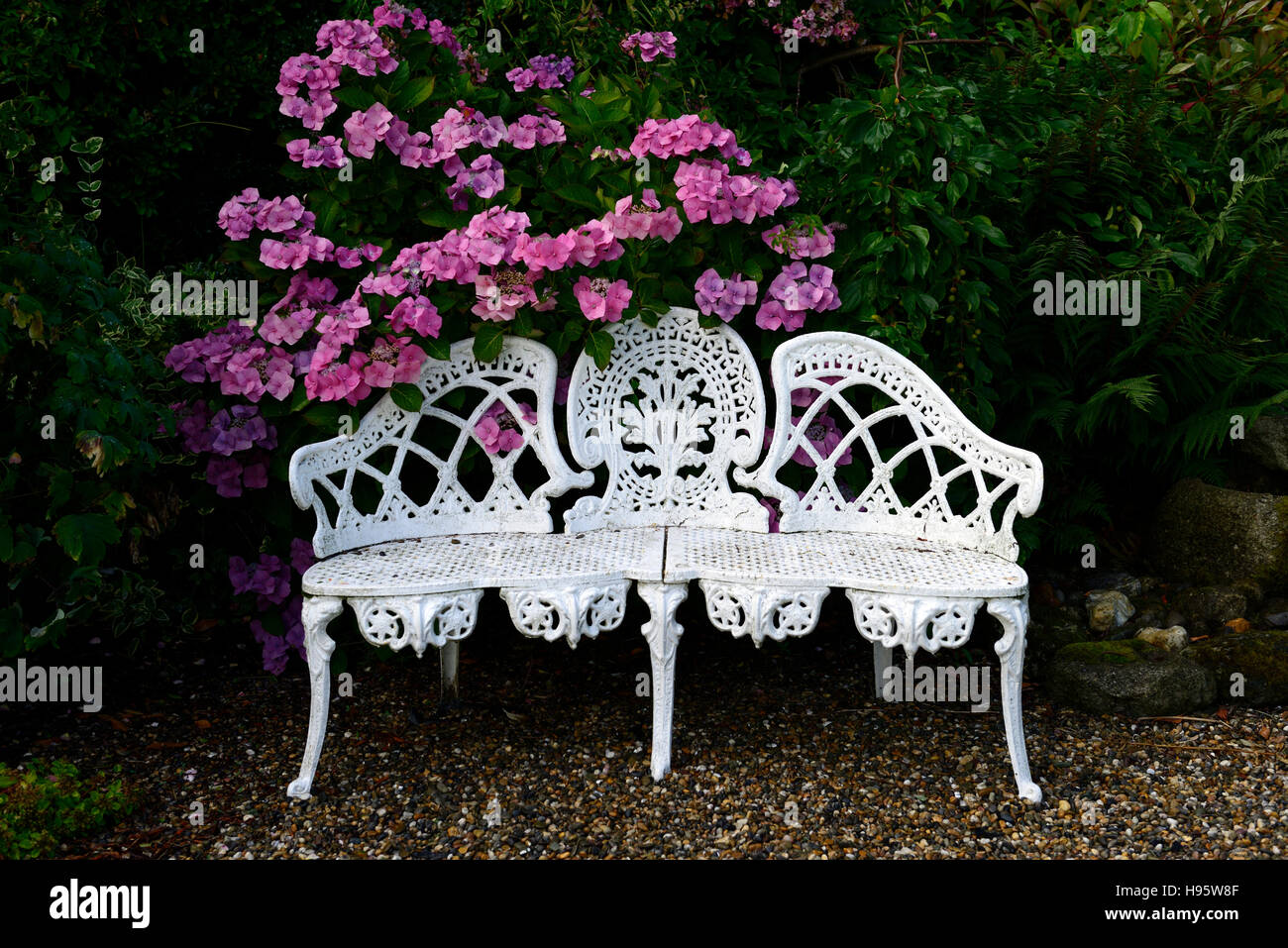 White wrought iron lutyens bench seat seating pink rhododendron flowers flowering garden gardening RM Floral Stock Photo