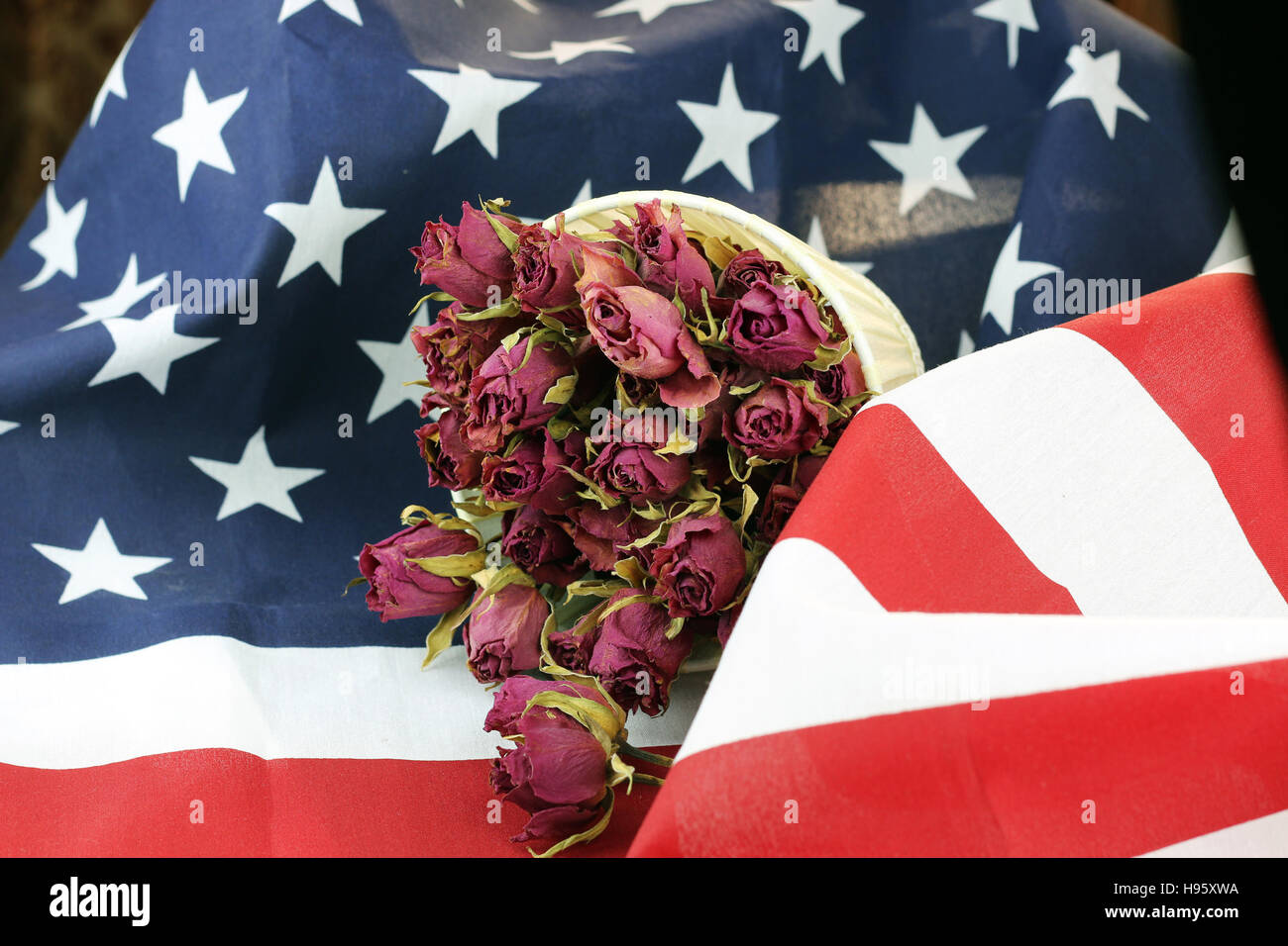 US flag rose flower Stock Photo Alamy