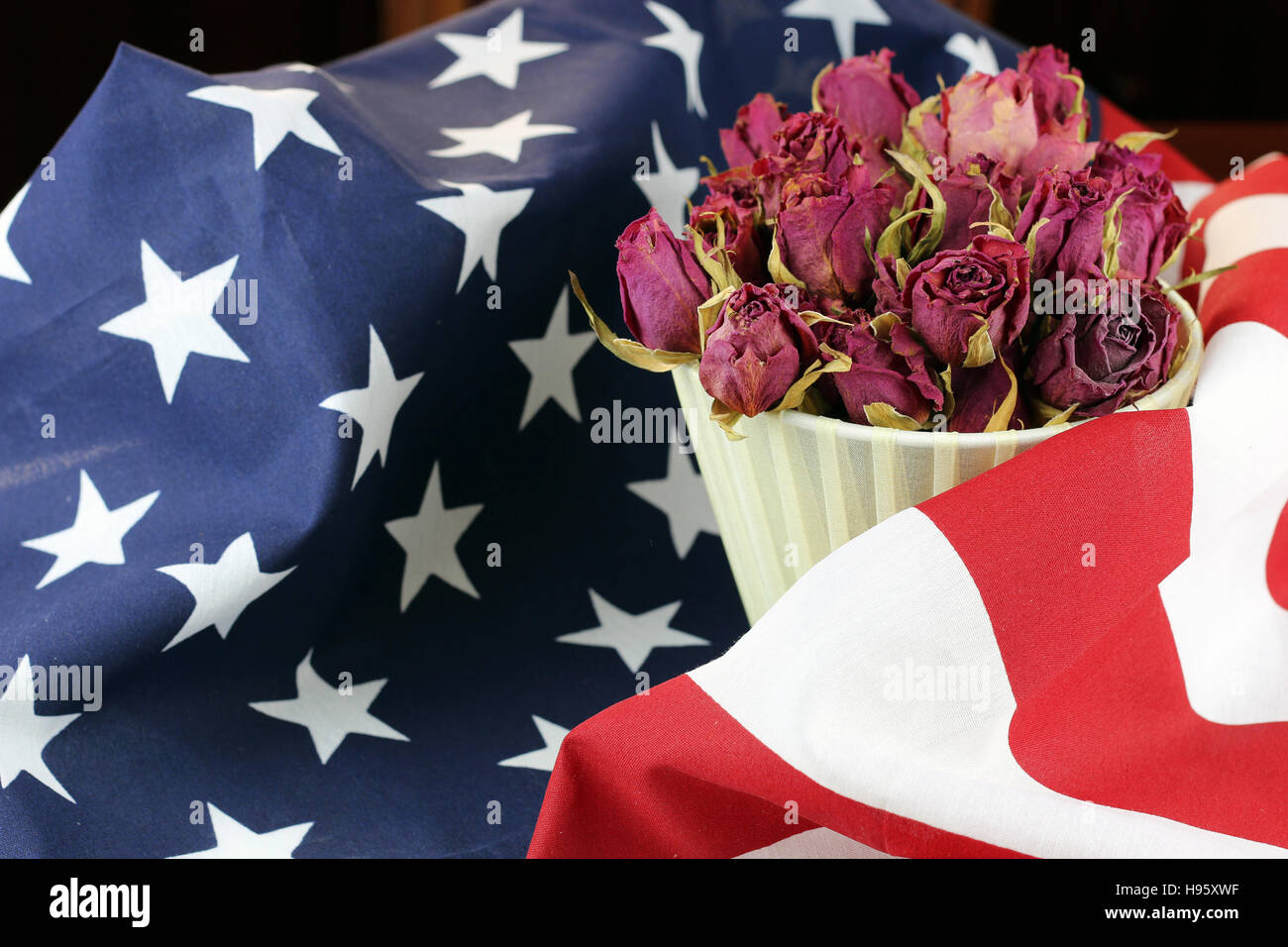 US flag rose flower Stock Photo Alamy