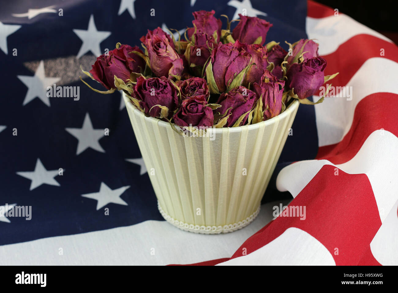 US flag rose flower Stock Photo Alamy