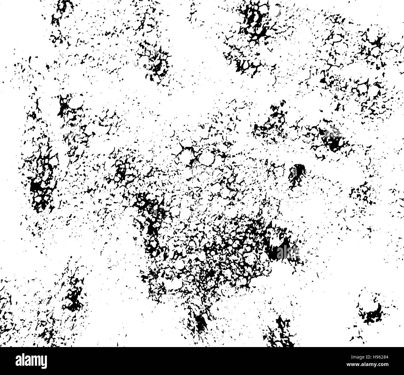 Abstract black sponge stains texture. Design for your brushes and