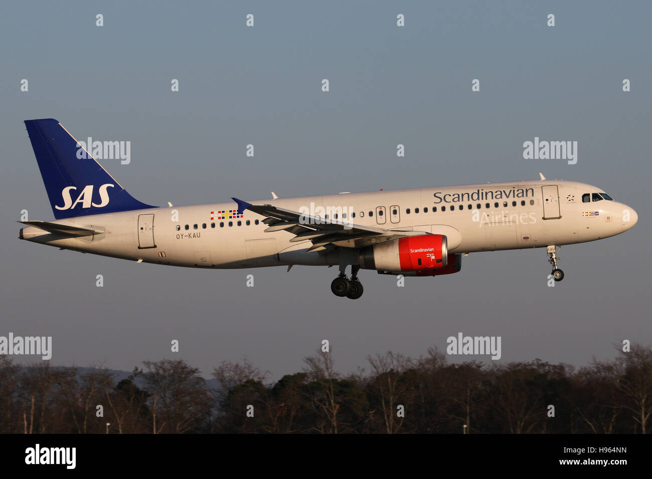 Frankfurt, Germany - February 27, 2016: SAS, Airbus A320 is landing at  Frankfurt Airport Stock Photo - Alamy