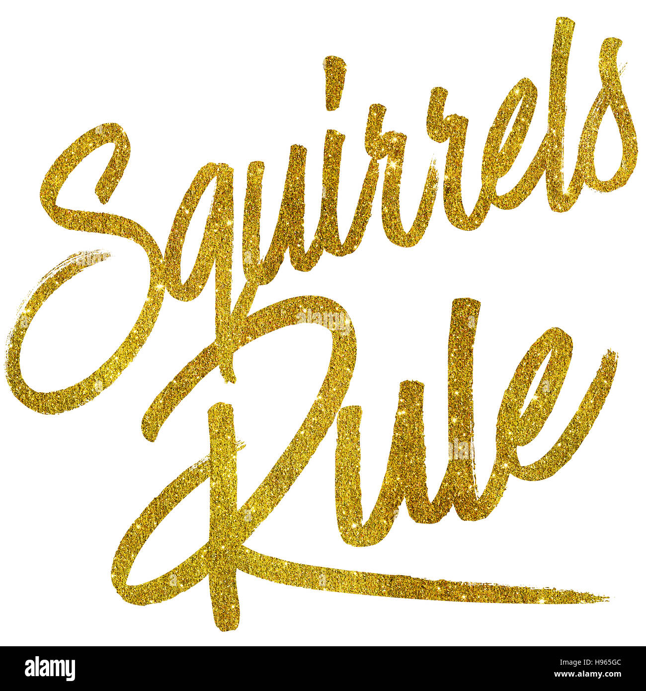 Squirrels Rule Gold Faux Foil Metallic Glitter Quote Isolated Stock Photo