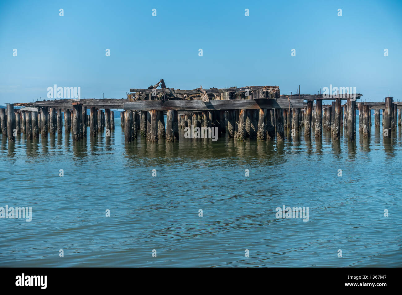 Decayed pier pilings in Runston Washington Stock Photo