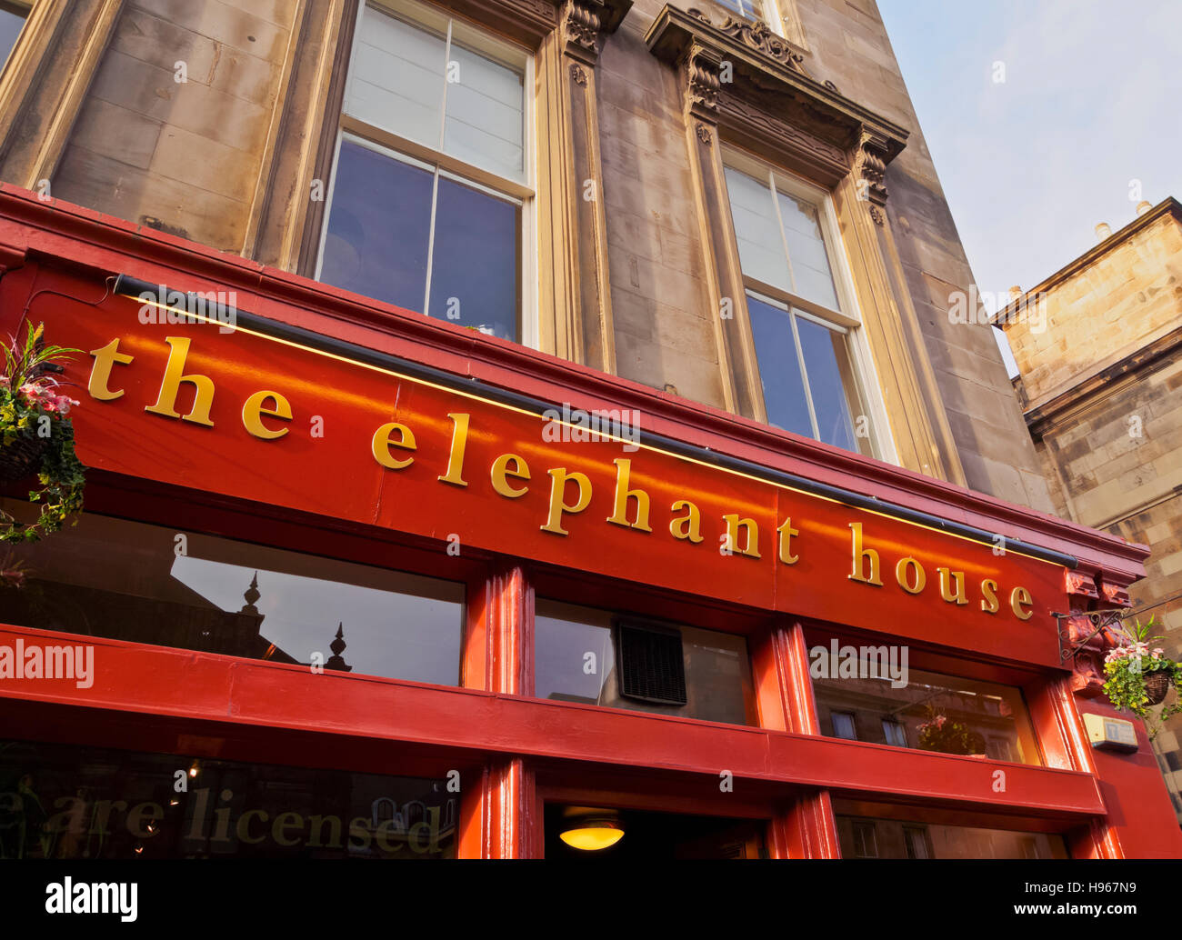 UK, Scotland, Edinburgh, View of the Elephant House Cafe, birthplace of Harry Potter. Stock Photo