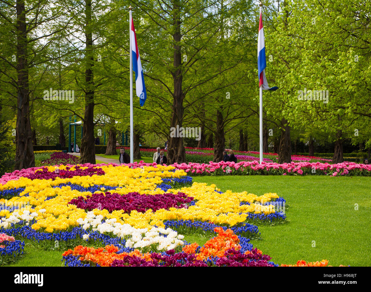 Colorful tulips in the Keukenhof garden, Holland Stock Photo - Alamy