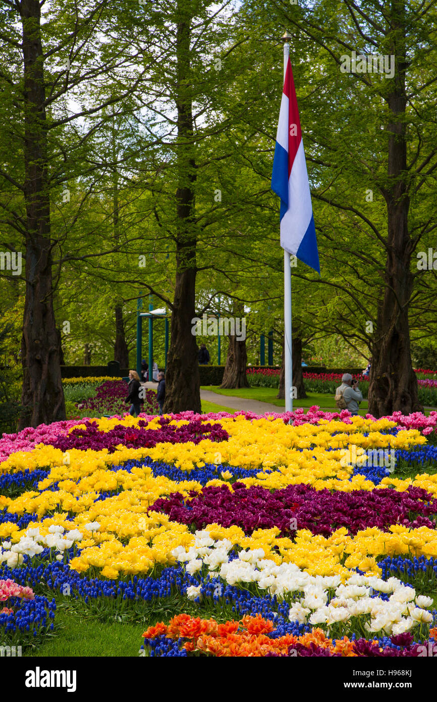 Colorful tulips in the Keukenhof garden, Holland Stock Photo - Alamy