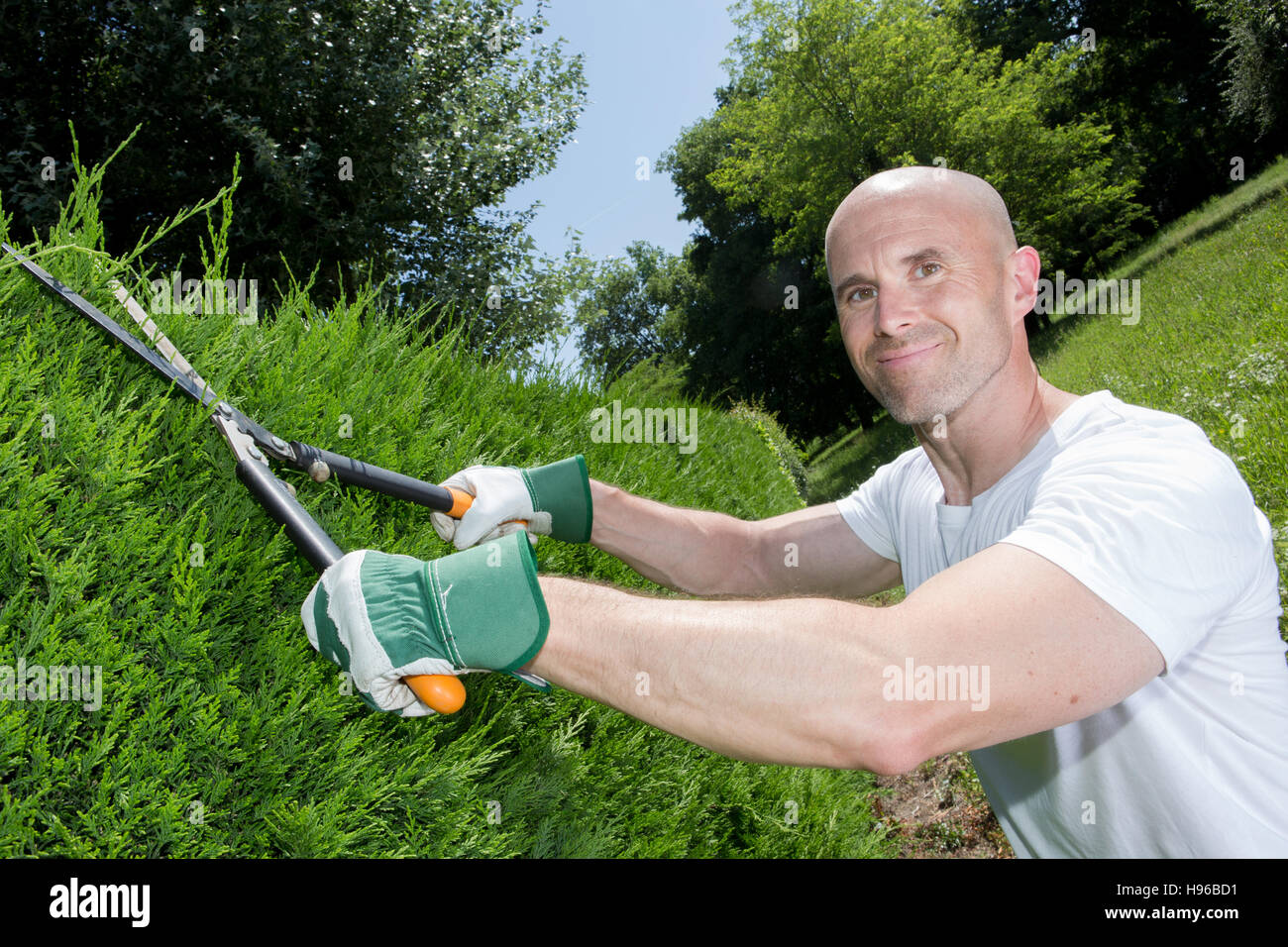 giant scissors cutting grass Stock Photo - Alamy