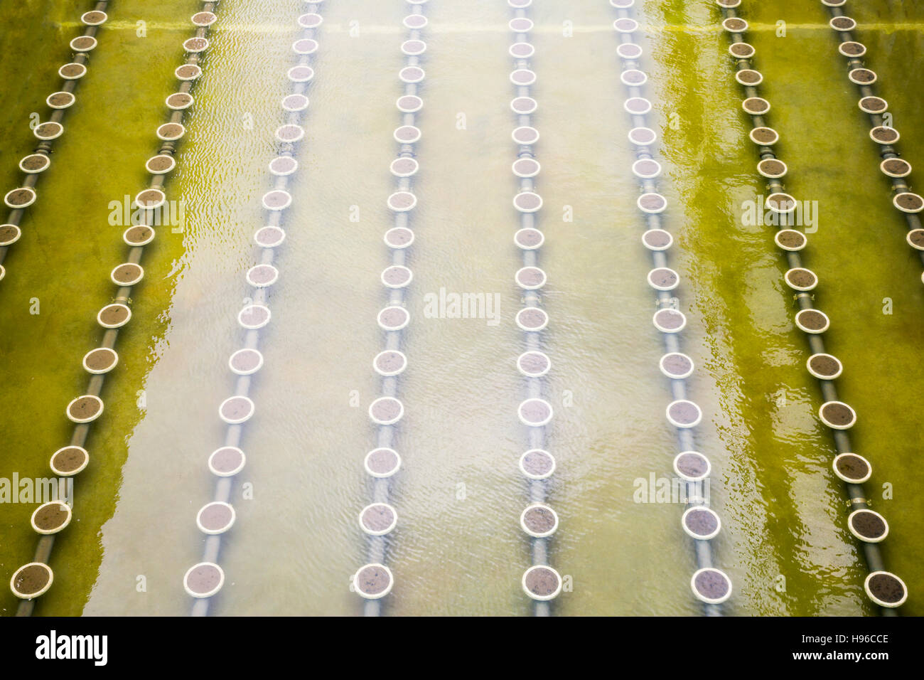Modern urban wastewater treatment plant. Water cleaning facility outdoors. Water purification is the process of removing undesirable chemicals, suspen Stock Photo