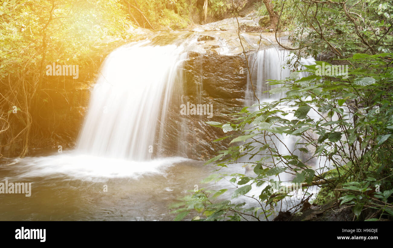 waterfall and creek in tropical jungle rain forest Stock Photo - Alamy