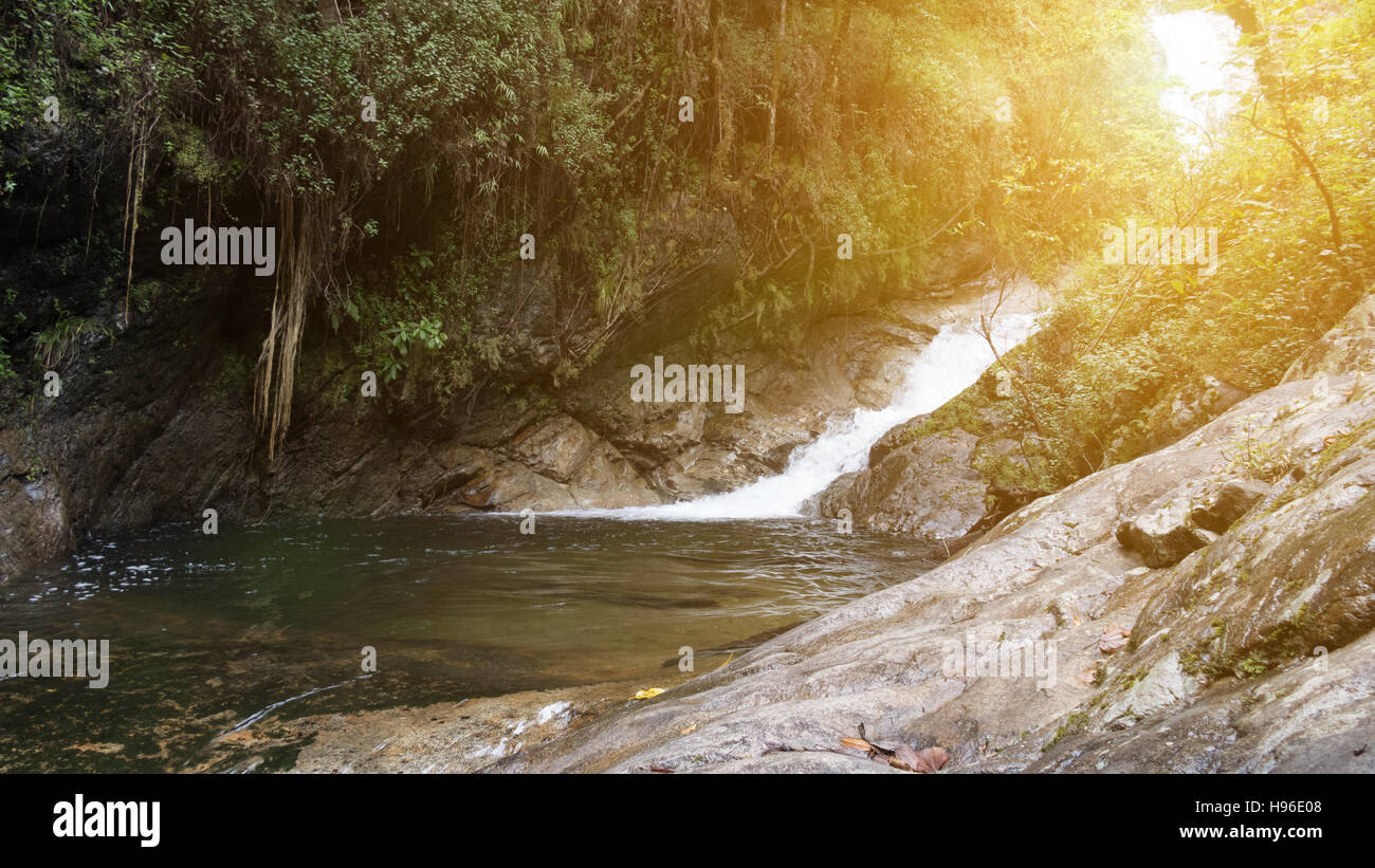 waterfall and creek in tropical jungle rain forest Stock Photo - Alamy