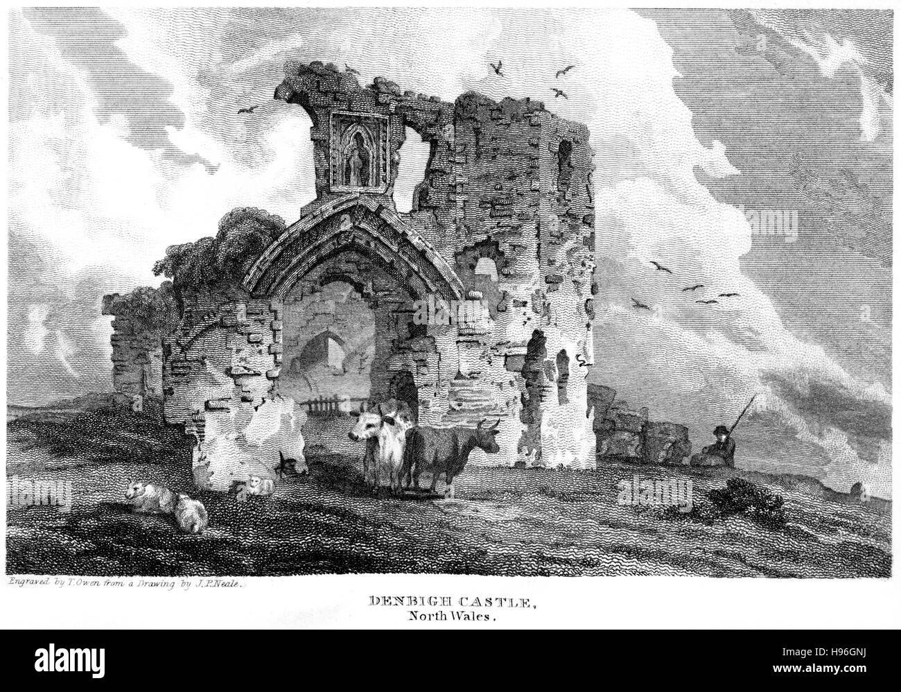 An engraving of Denbigh Castle, North Wales scanned at high resolution ...