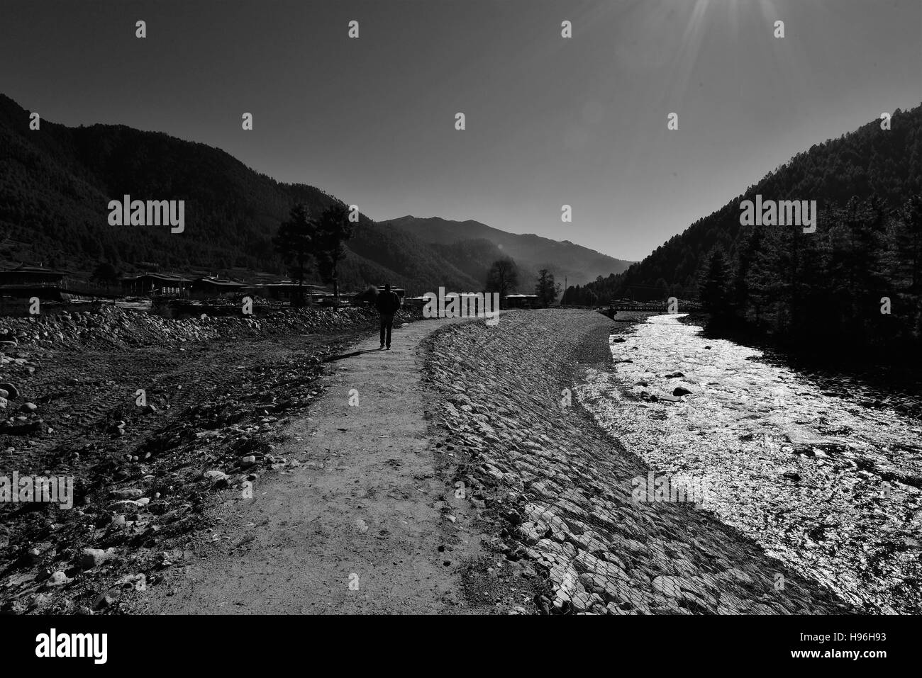 The lonely road Stock Photo Alamy