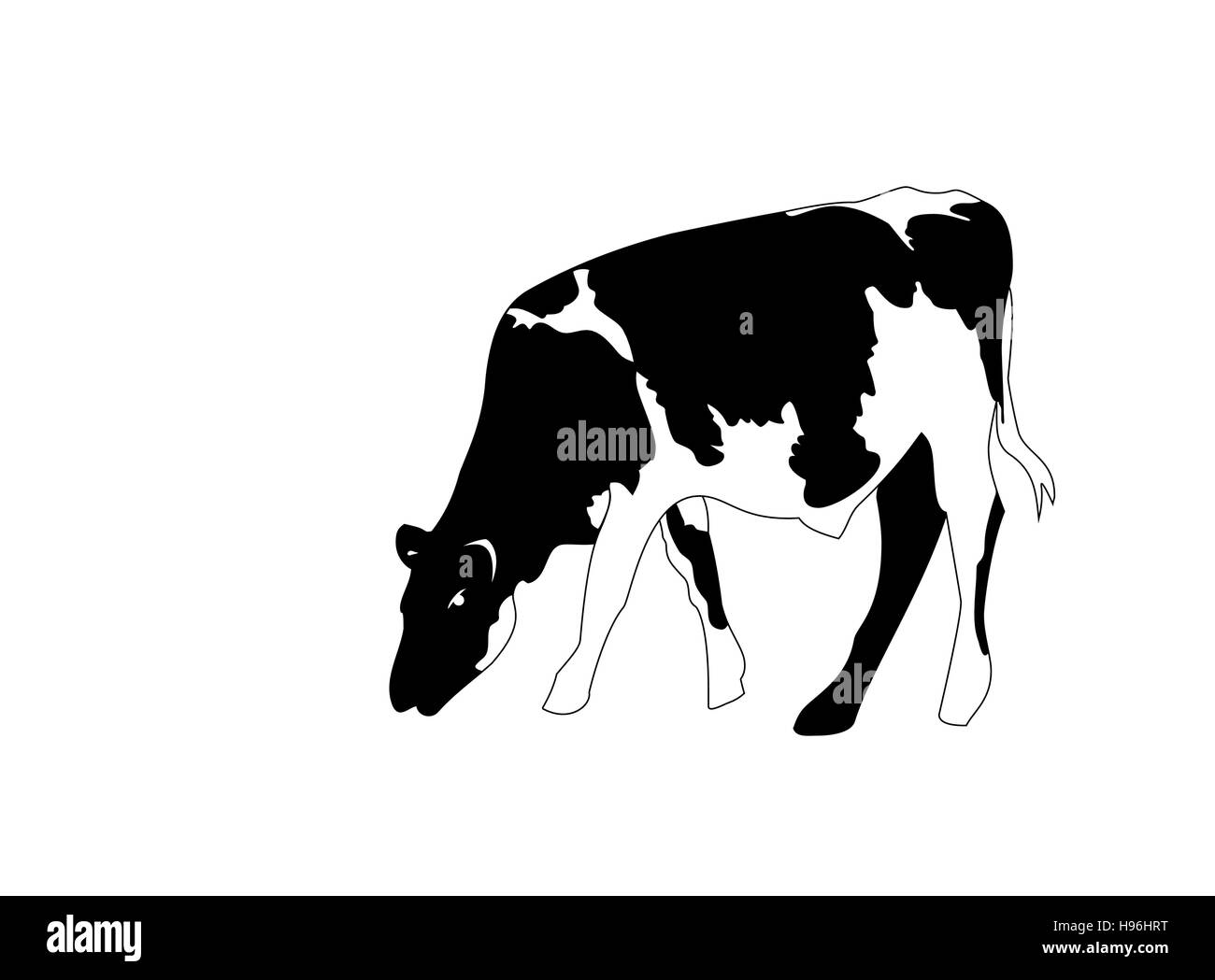 Portrait big black and white cow vector Stock Vector