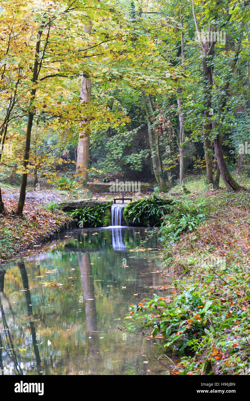 Shipton under Wychwood Wild Garden and Woods in autumn, Oxfordshire, England Stock Photo Alamy