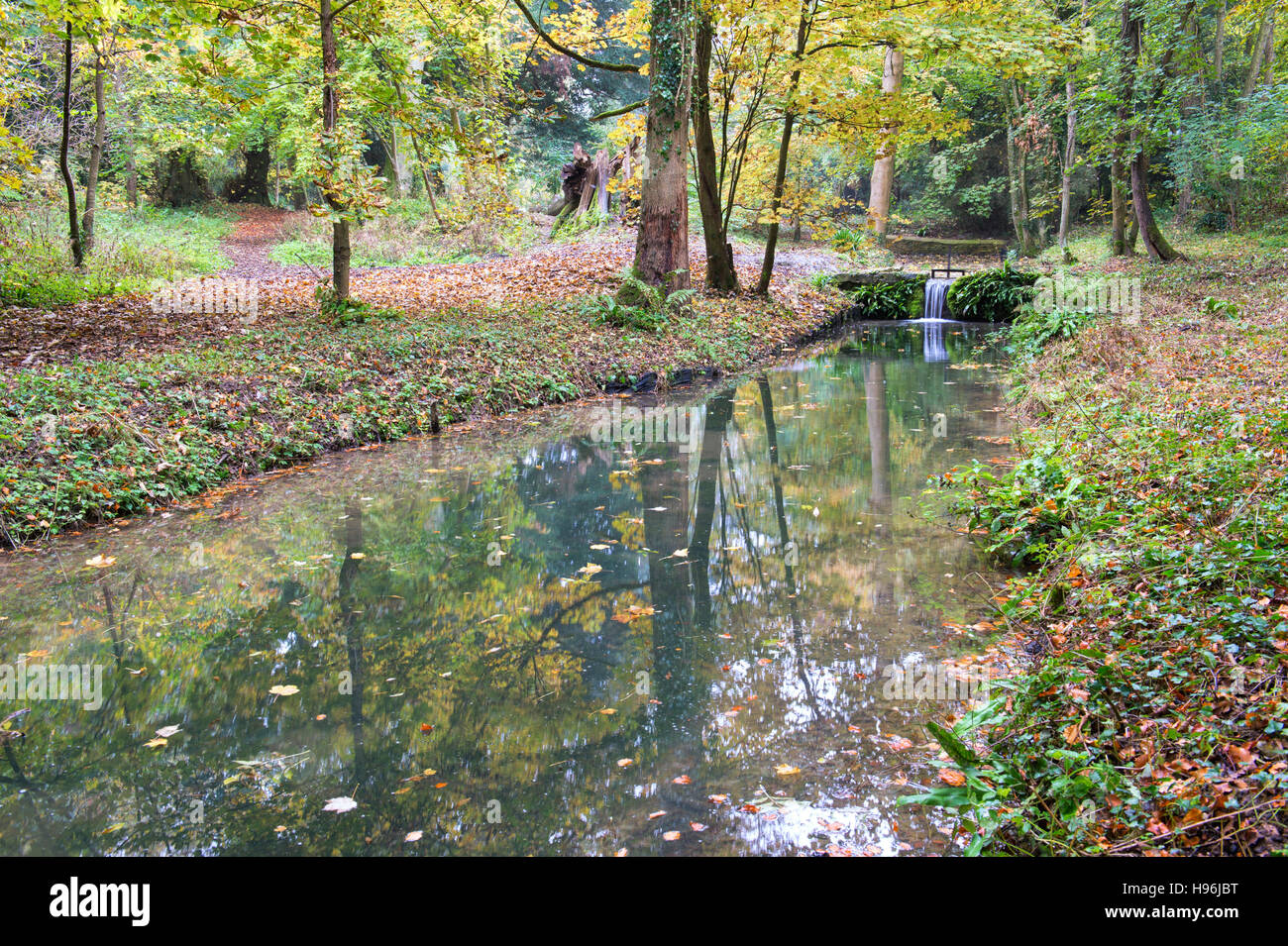 Shipton under Wychwood Wild Garden and Woods in autumn, Oxfordshire, England Stock Photo Alamy