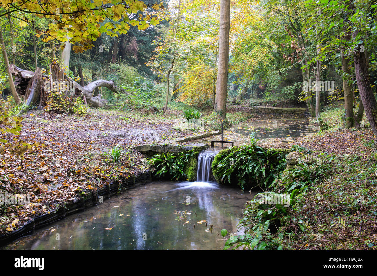 Shipton under Wychwood Wild Garden and Woods in autumn, Oxfordshire, England Stock Photo Alamy