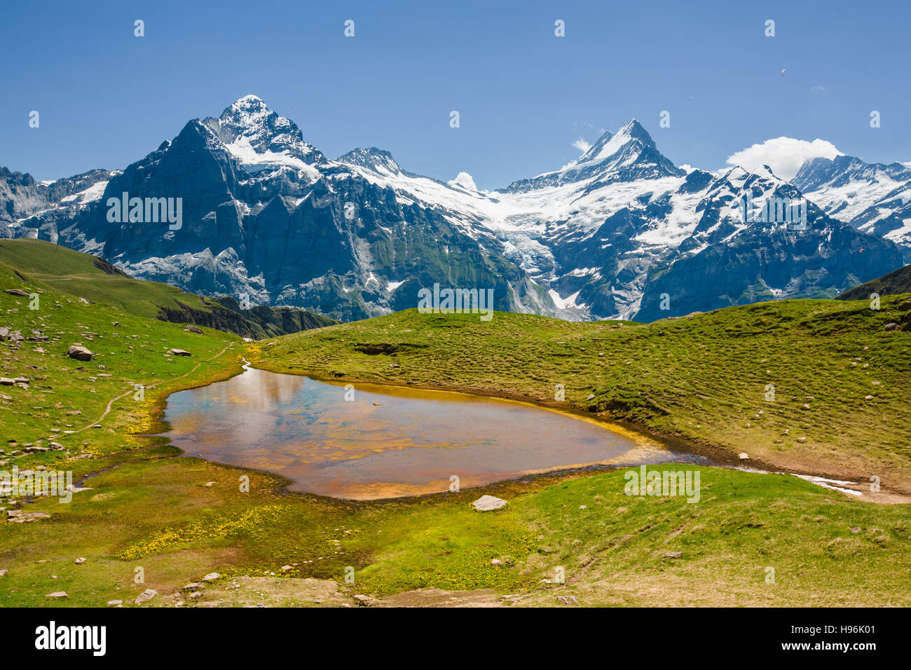 Small colored lake near Bachsee, Schreckhorn and Wetterhorn peaks behind Stock Photo