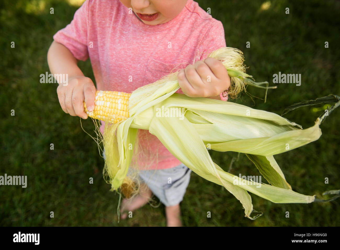 Shucking corn hires stock photography and images Alamy