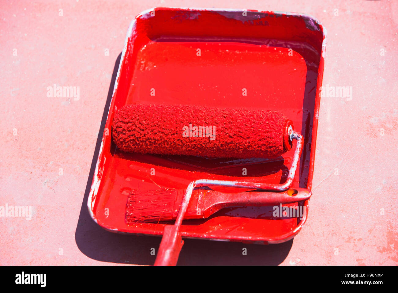 Paint roller in tray with red paint Stock Photo
