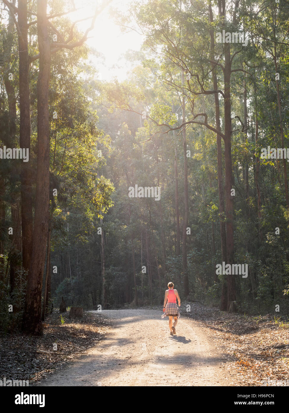Australia, New South Wales, Port Macquarie, Rear view of mature woman walking along dirt road in forest Stock Photo