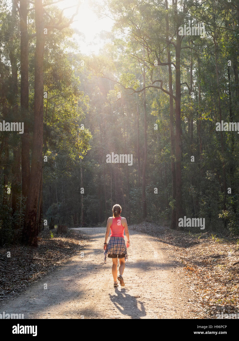 Australia, New South Wales, Port Macquarie, Rear view of mature woman walking along dirt road in forest Stock Photo