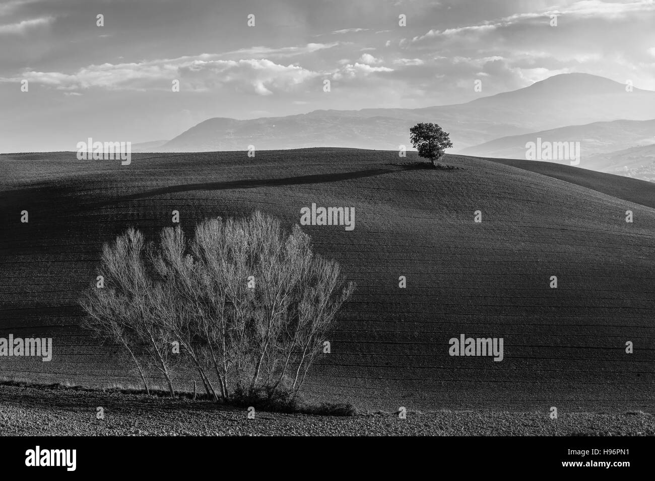Summer rural landscape hills Black and White Stock Photos & Images - Alamy