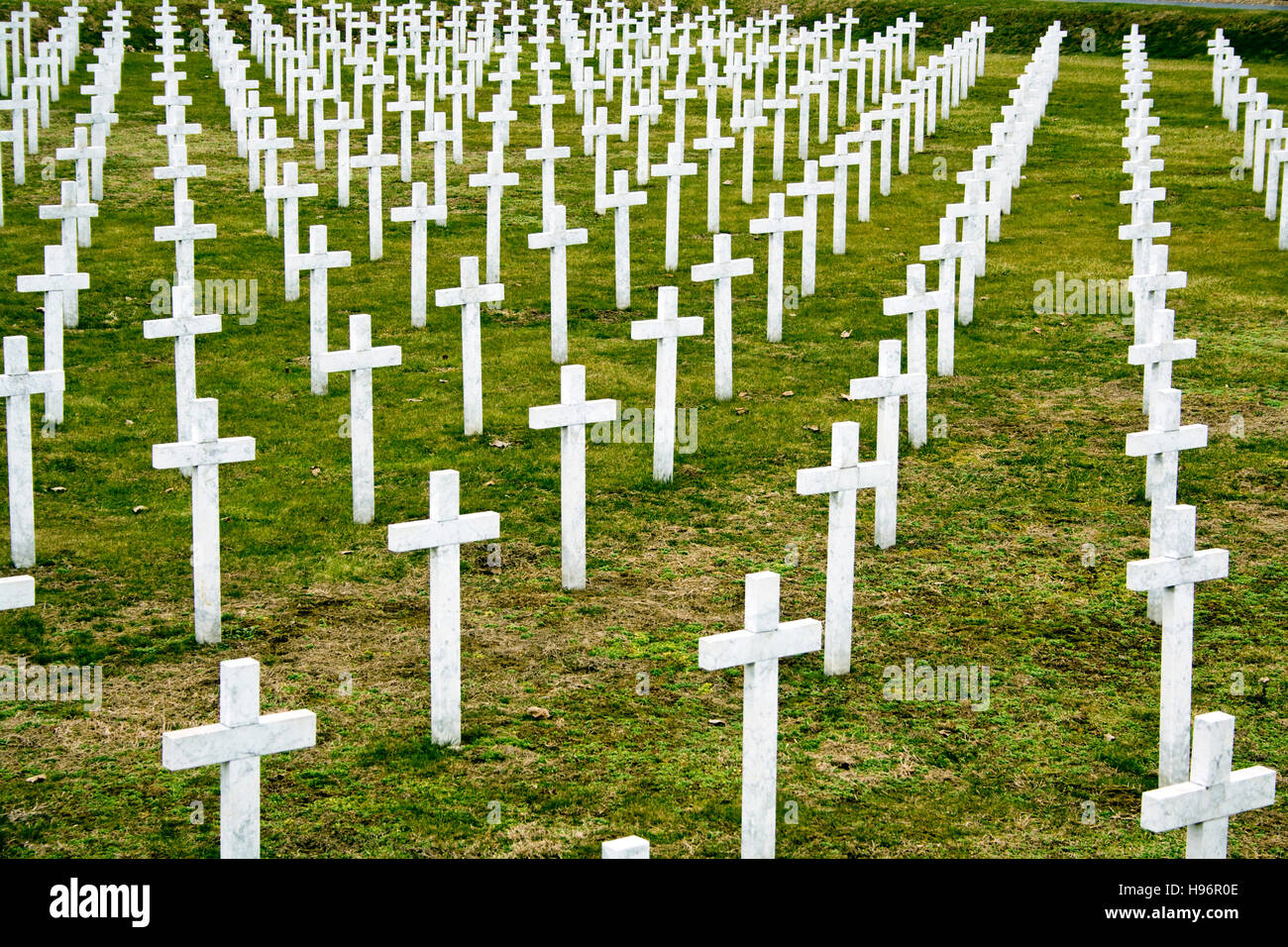 Cemetery of the Croatian soldiers killed in the defence of the city Vukovar by military attacks on the city from the Stock Photo