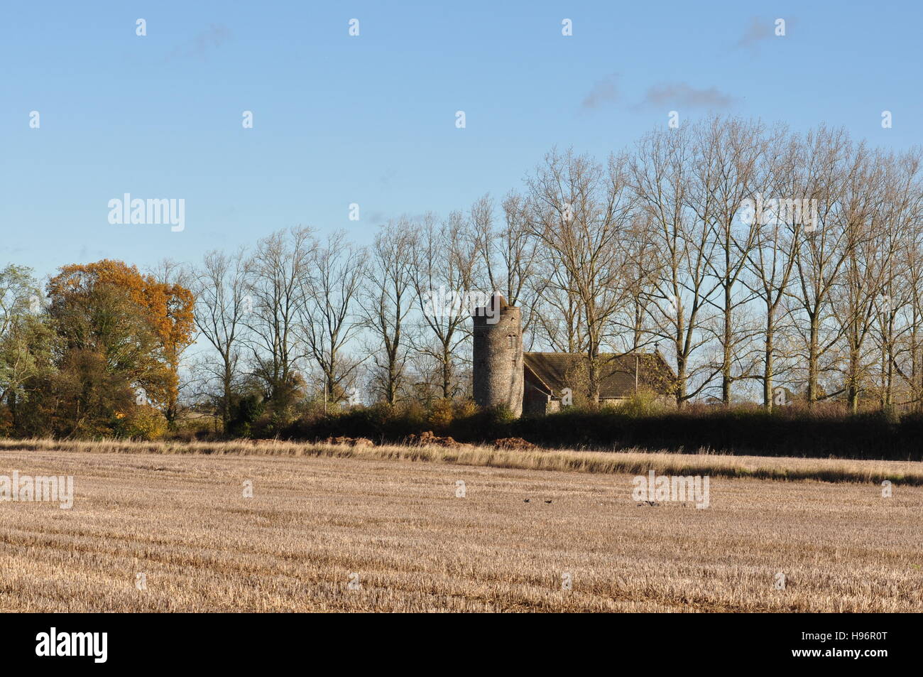 All Saints church Hemblington Norfolk UK Stock Photo Alamy