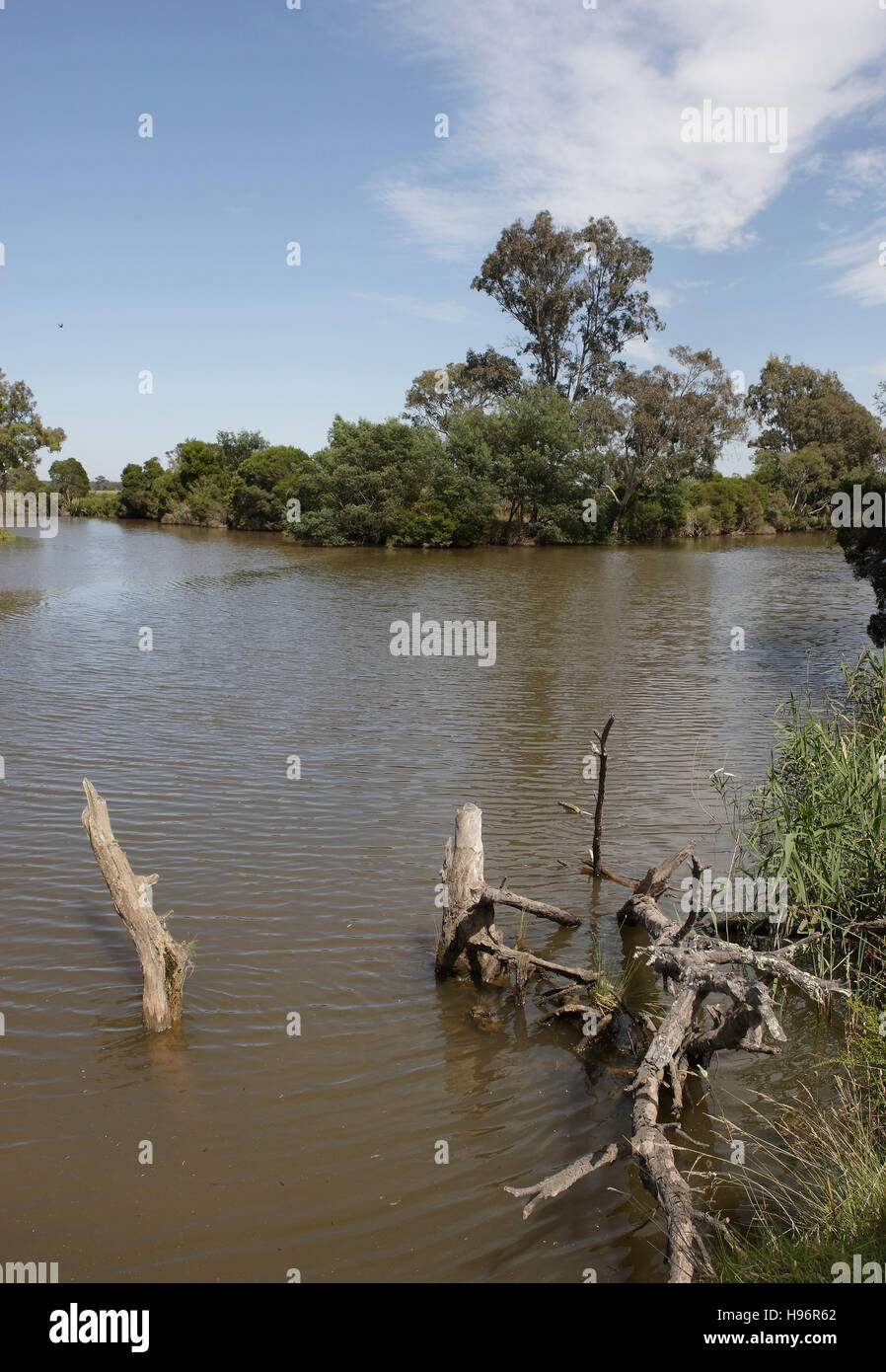 Confluence of the Latrobe River, left, and Thompson River, right, Sale