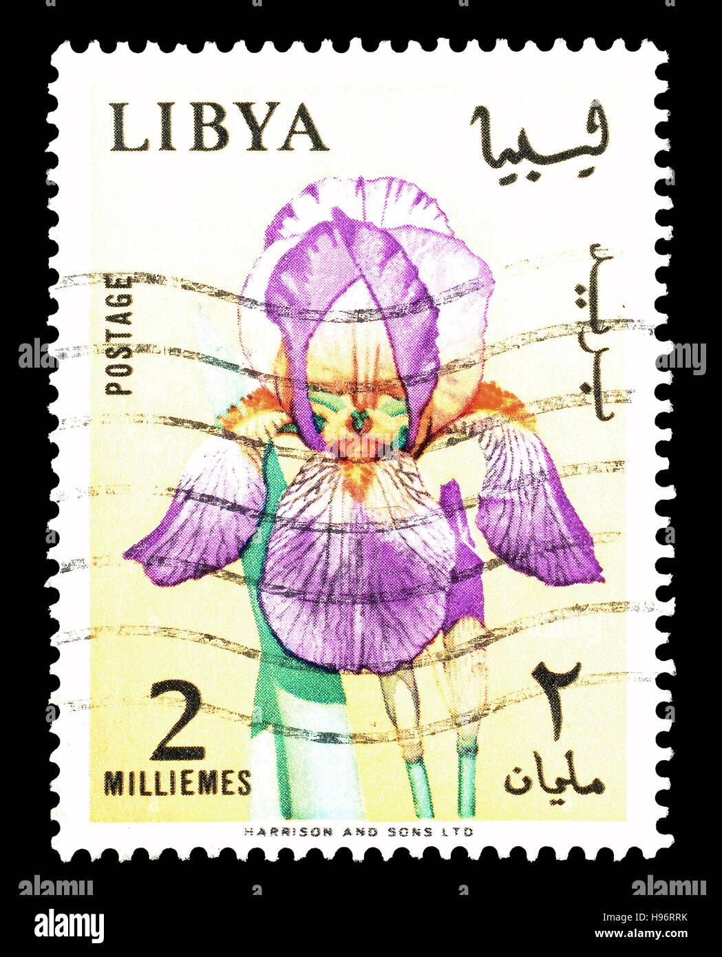 Cancelled postage stamp printed by Libya, that shows Iris. Stock Photo