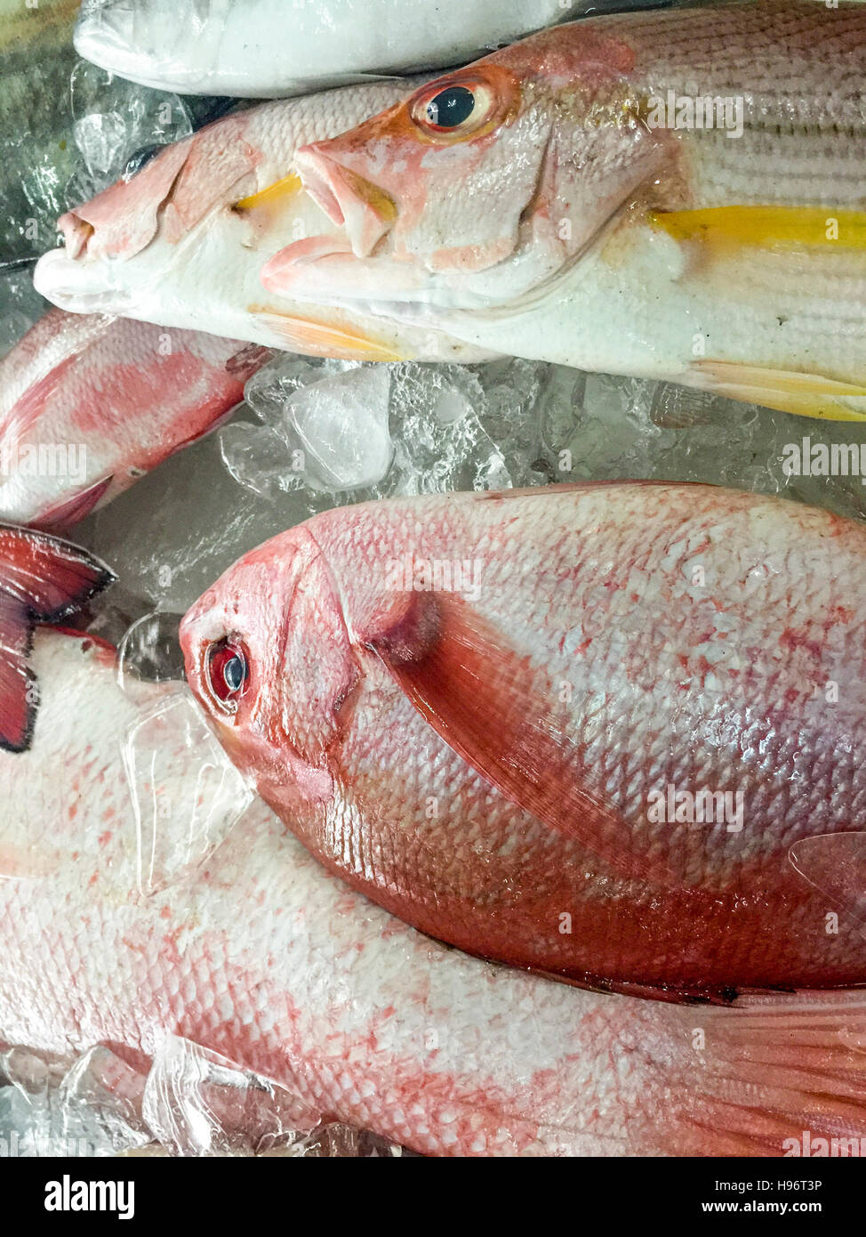 Fish scales close up hi-res stock photography and images - Alamy