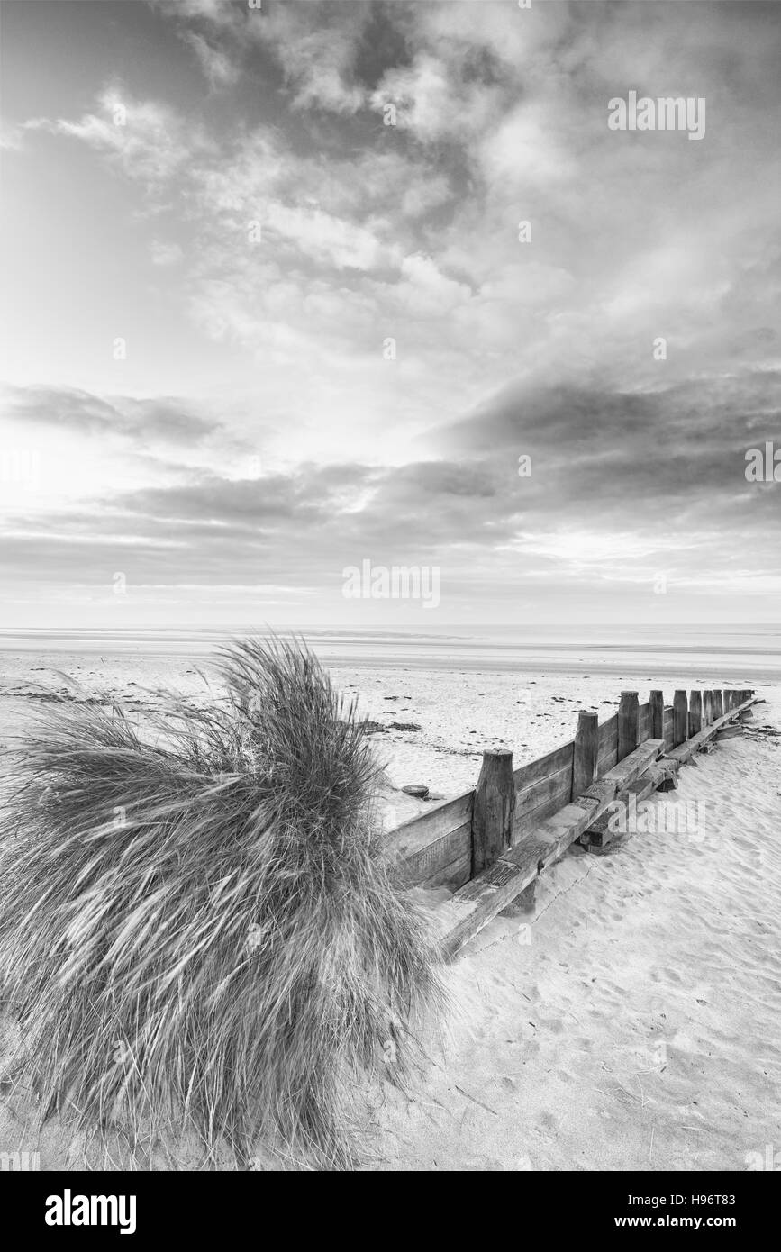 Beautiful beach coastal landscape image at sunrise in black and white Stock Photo